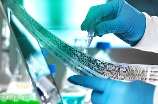 2019年，教育咨詢服務公司經營范圍的“黃金寫法”，讓你賺翻的秘訣